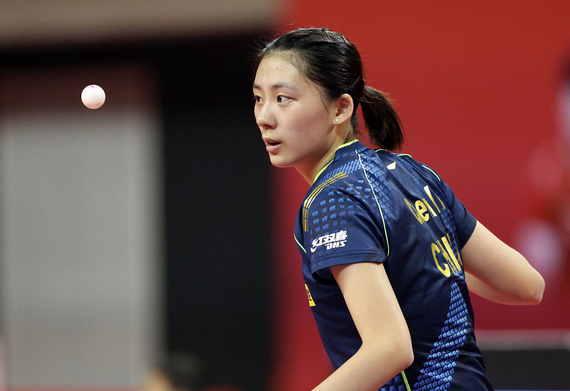 转会费有望 转会费有望